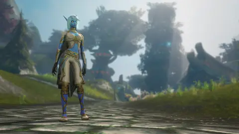 Skyborne customisation